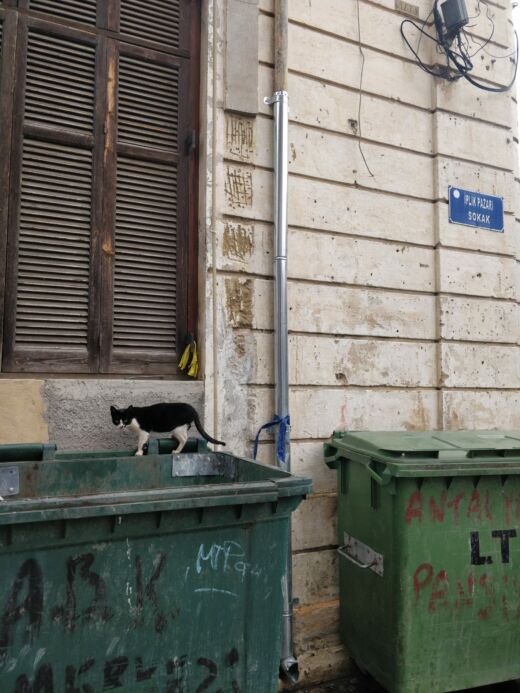 Część turecka Nikozja