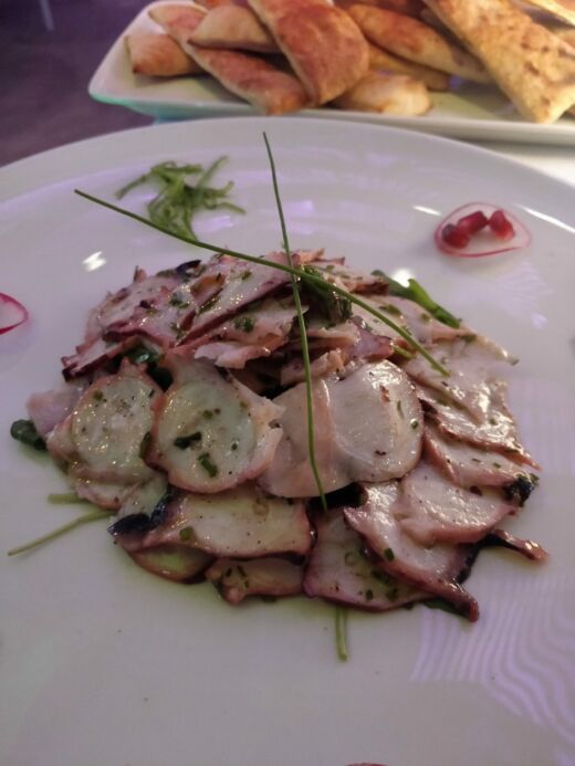 Marnowana ośmiornica