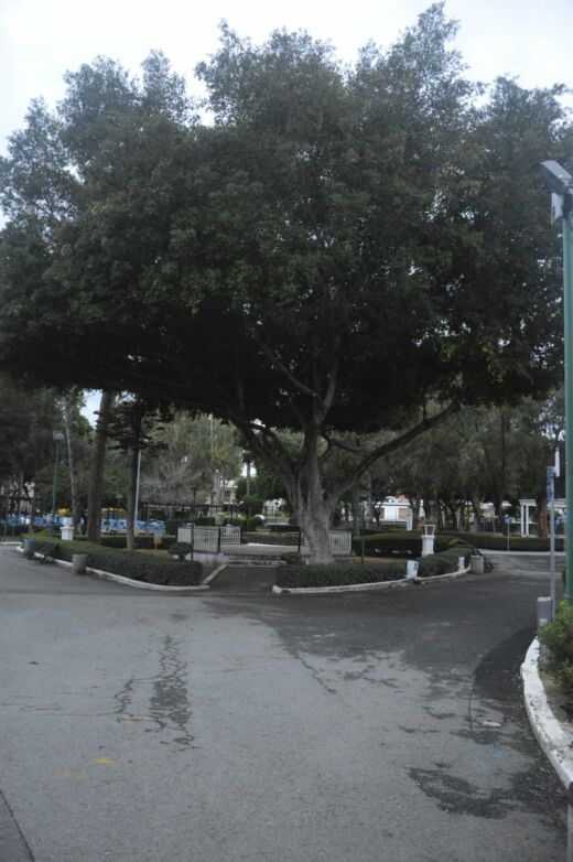 Park Limassol