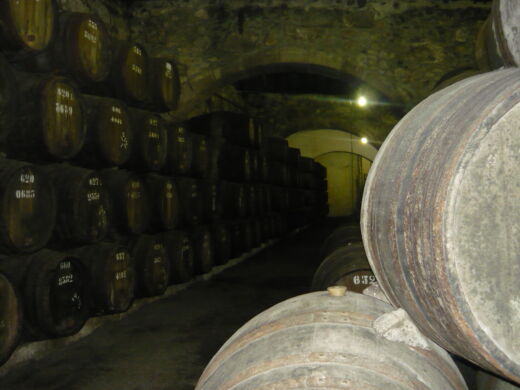 Winiarnia w Porto