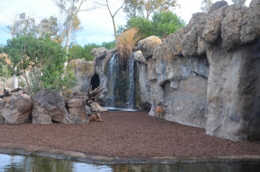 Bioparc Walencja