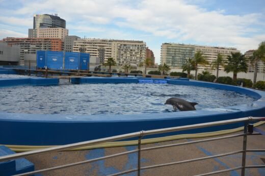 Oceanarium Walencja