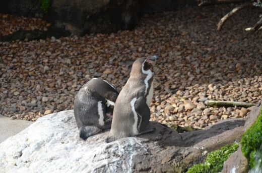 Oceanarium Walencja