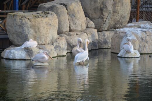 Oceanarium Walencja