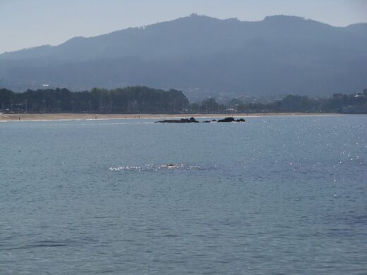 Plaża Samil Vigo