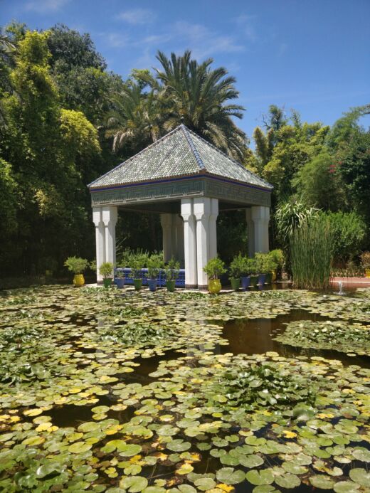 Majorelle Marrakesz