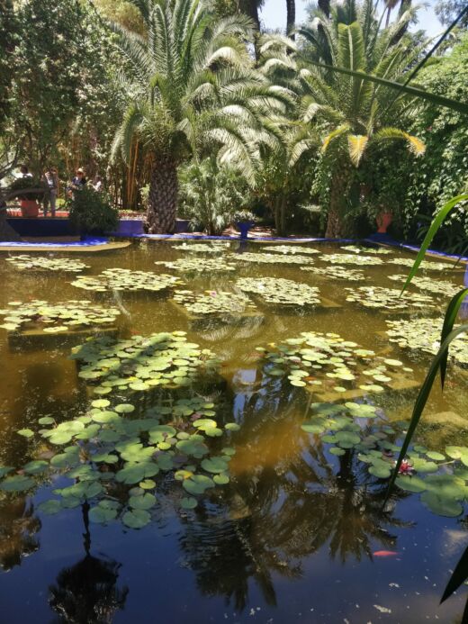 Majorelle Marrakesz