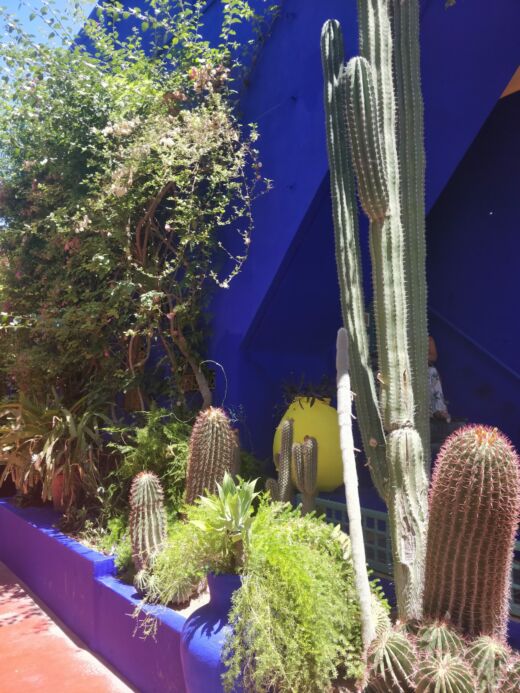 Majorelle Marrakesz