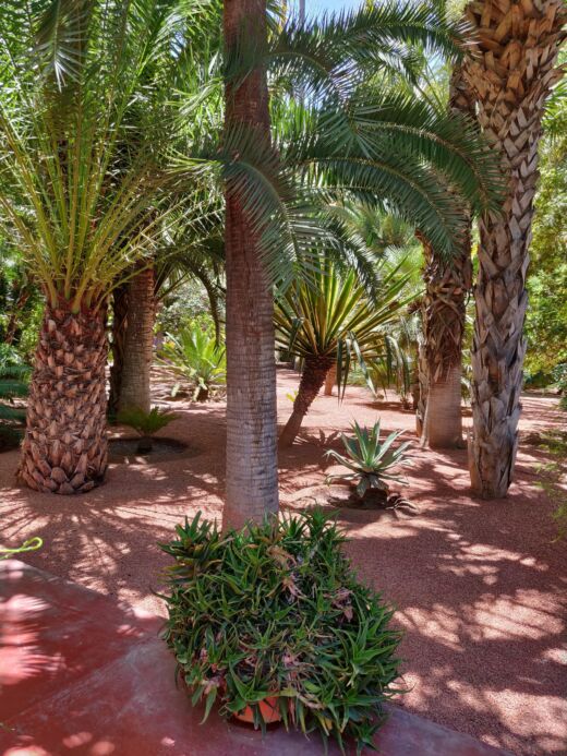 Majorelle Marrakesz