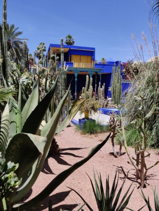 Majorelle Marrakesz