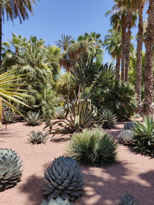 Majorelle Marrakesz