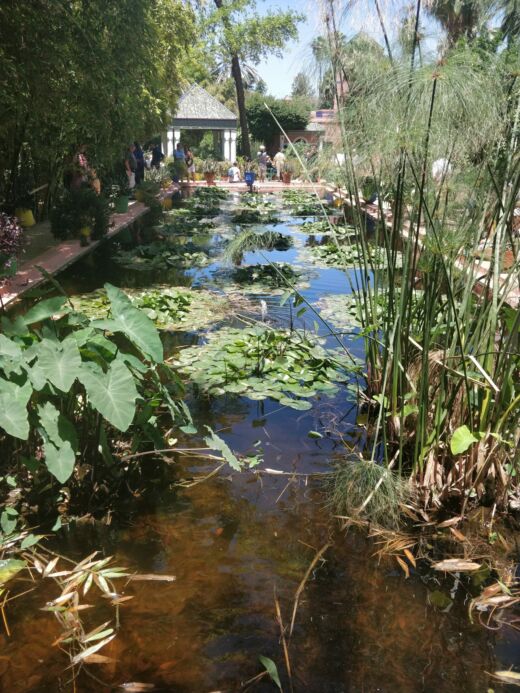 Majorelle Marrakesz