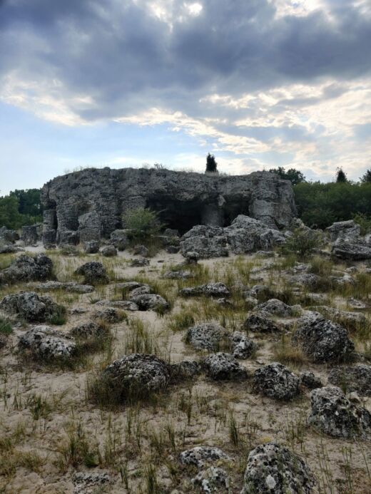 Stone Forest Warna