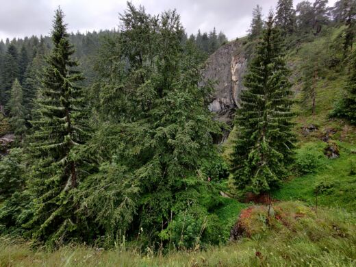 Cudowne Mosty Rodopy