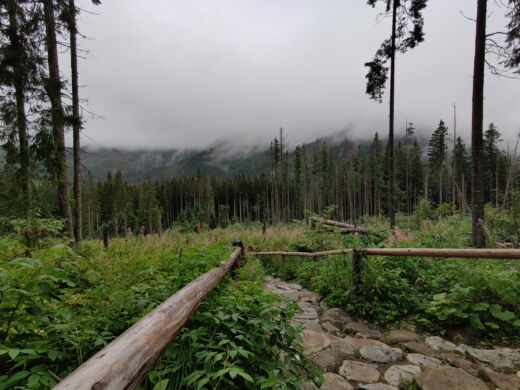 Morskie Oko