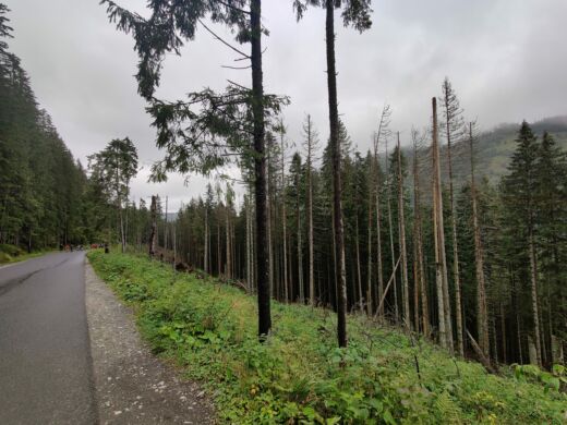 Morskie Oko