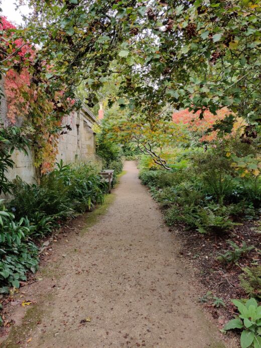 Ogród Botaniczny Oxford
