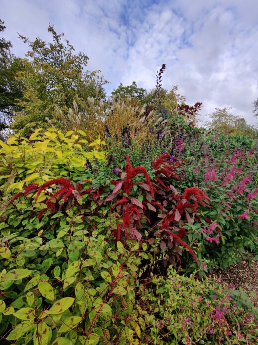 Ogród Botaniczny Oxford