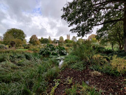 Ogród Botaniczny Oxford