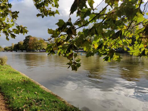 Oxford