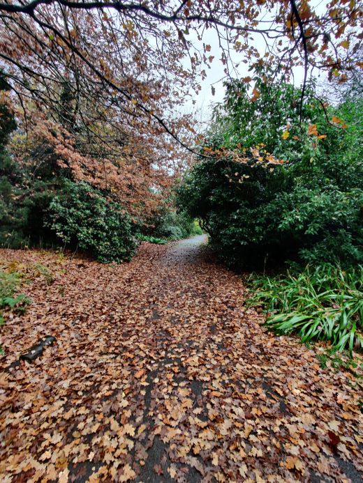 Kew Gardens