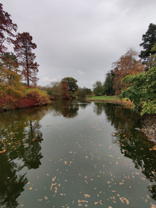 Kew Gardens