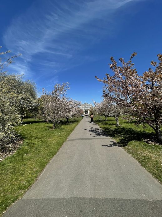 Kew Gardens