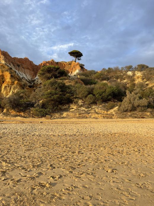 Praia de Falesia Albufeira