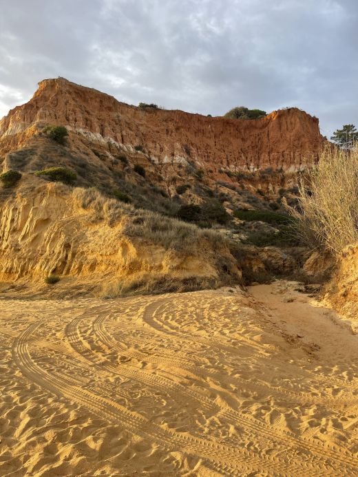 Praia de Falesia Albufeira