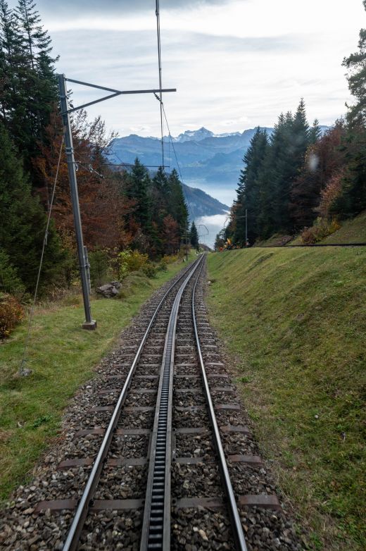 Kolej zębata Rigi