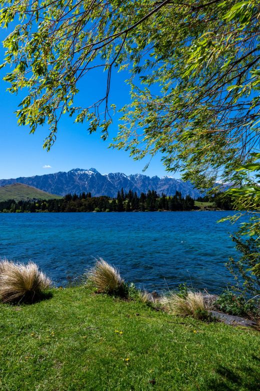 Ogrody Queenstown NZ