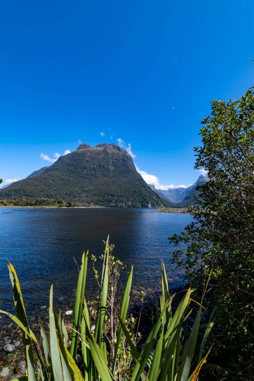 Milford Sound Nowa Zelandia