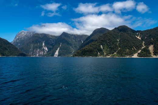 Milford Sound fiord