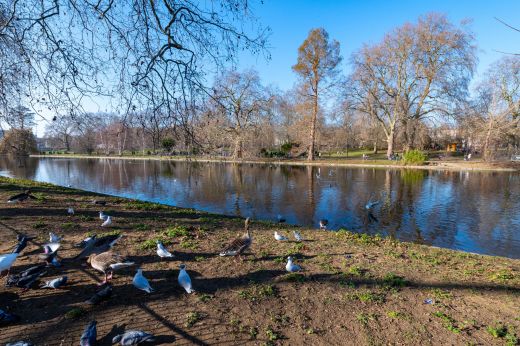 St James Park Londyn