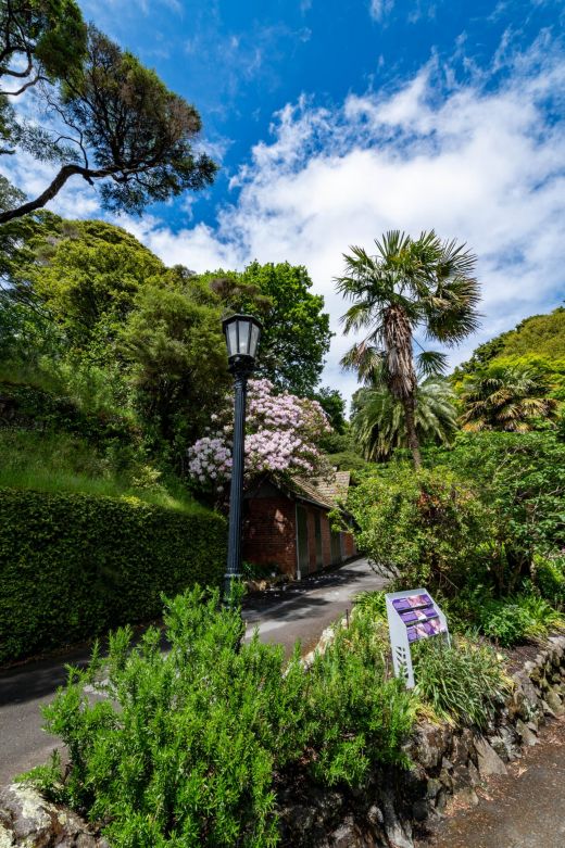 Ogrody Botaniczne Wellington NZ
