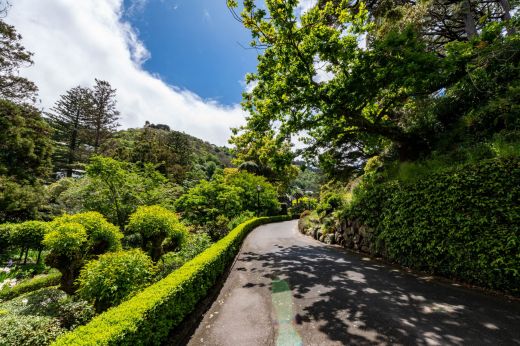 Ogrody Botaniczne w Wellington NZ