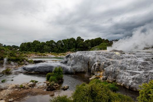 Te Puia Rotorua