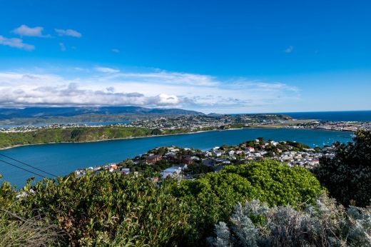 Wellington NZ