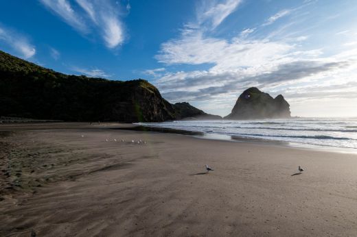 Plaża Piha Nowa Zelandia