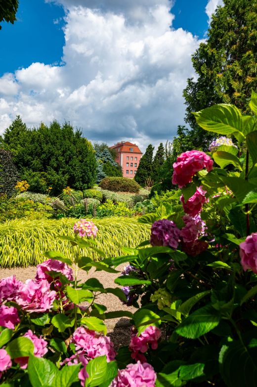 Uniwersytecki Ogród Botaniczny Wrocław