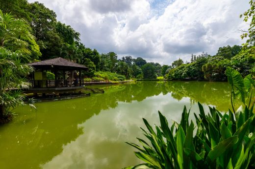Ogród Botaniczny Singapur Azja