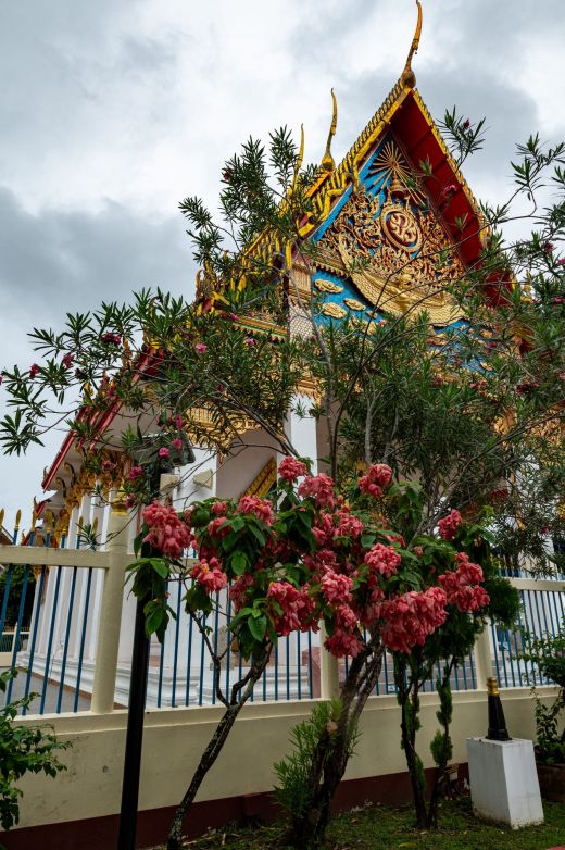 Phuket Town Tajlandia