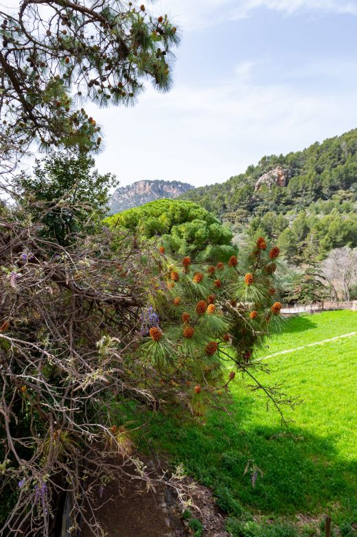 Jardines de Alfàbia Majorka