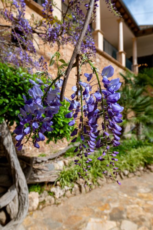 Jardines de Alfàbia Majorka