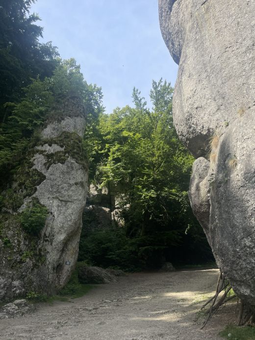 Brama Krakowska Ojcowski Park Narodowy