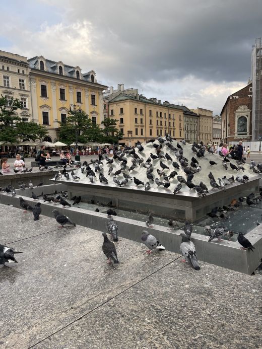 Rynek Kraków