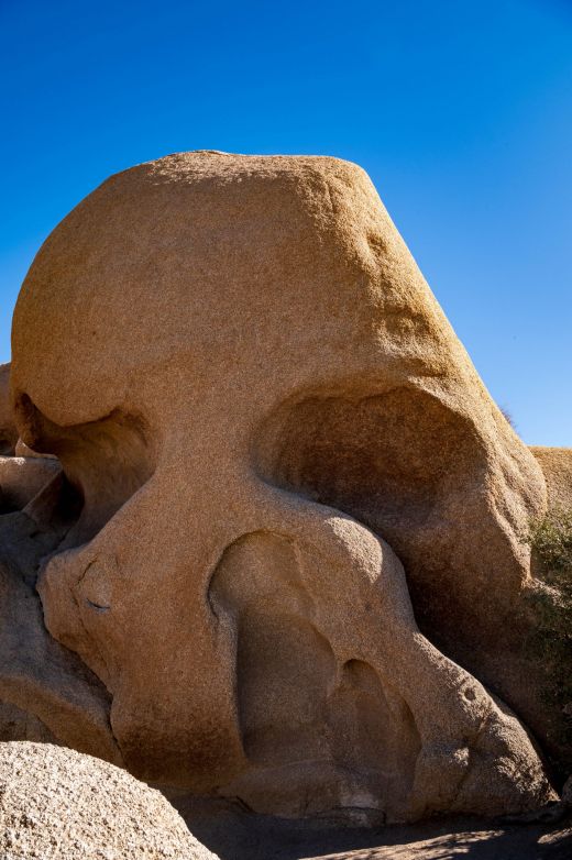Joshua Park Skull Rock