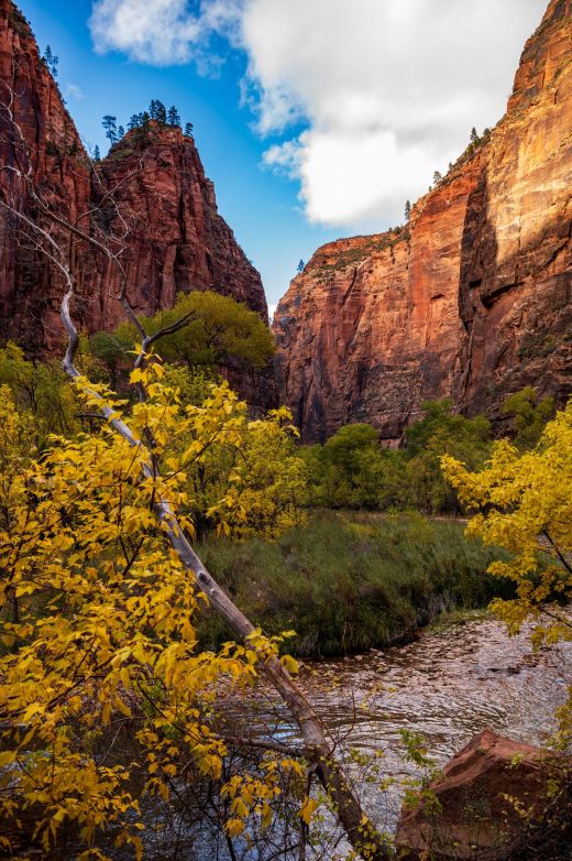 Zion