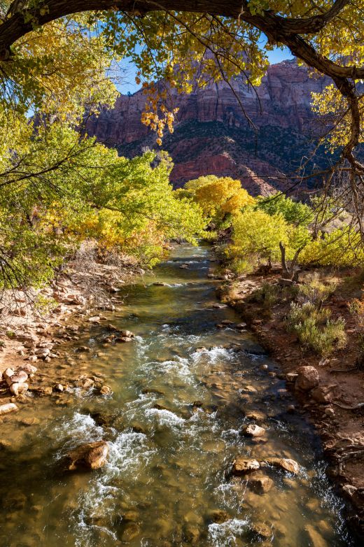 Zion - 2