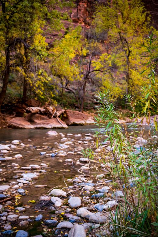 Zion